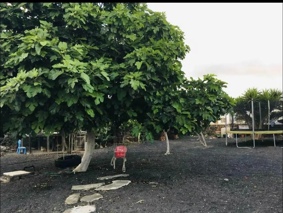 Villa Ballena ラハレス