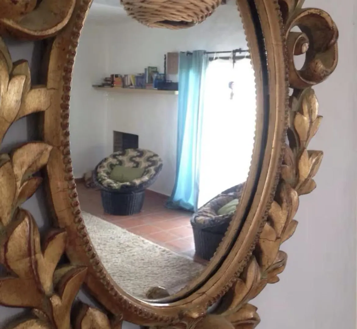 Villa Ballena ラハレス